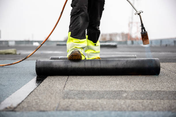 Best Roof Coating and Sealing  in Fife, WA